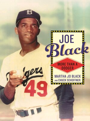 cover image of Joe Black